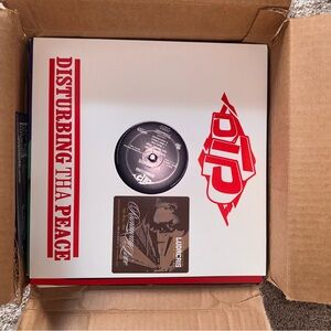 LOT OF 25 RANDOMLY SELECTED HIP HOP/R&B 90'S AND 2000'S 12" Singles!